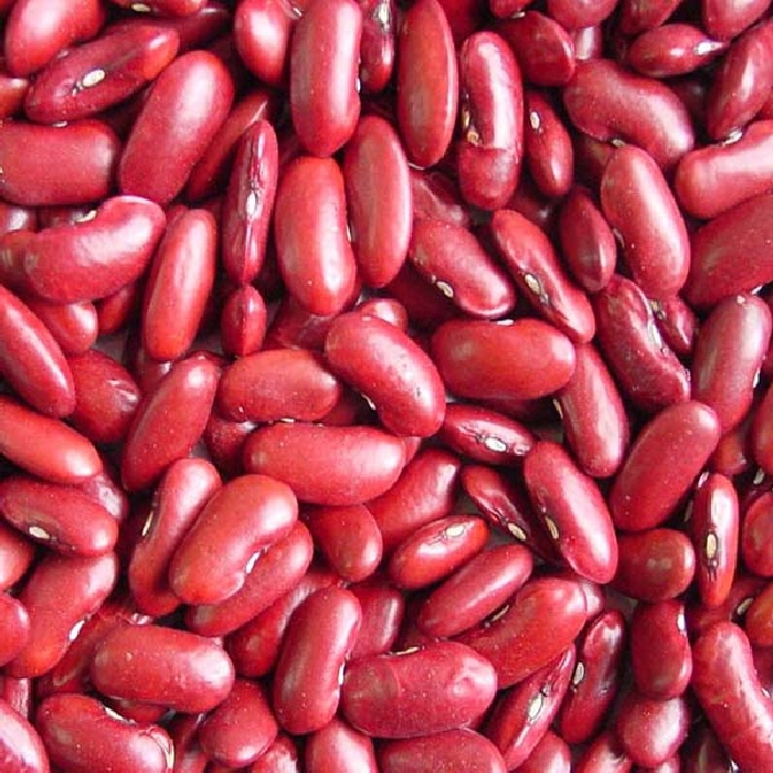 Rajma (Kidney beans) - Red - 500 g