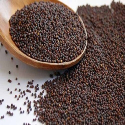 Rai (Mustard seeds) - 100 g