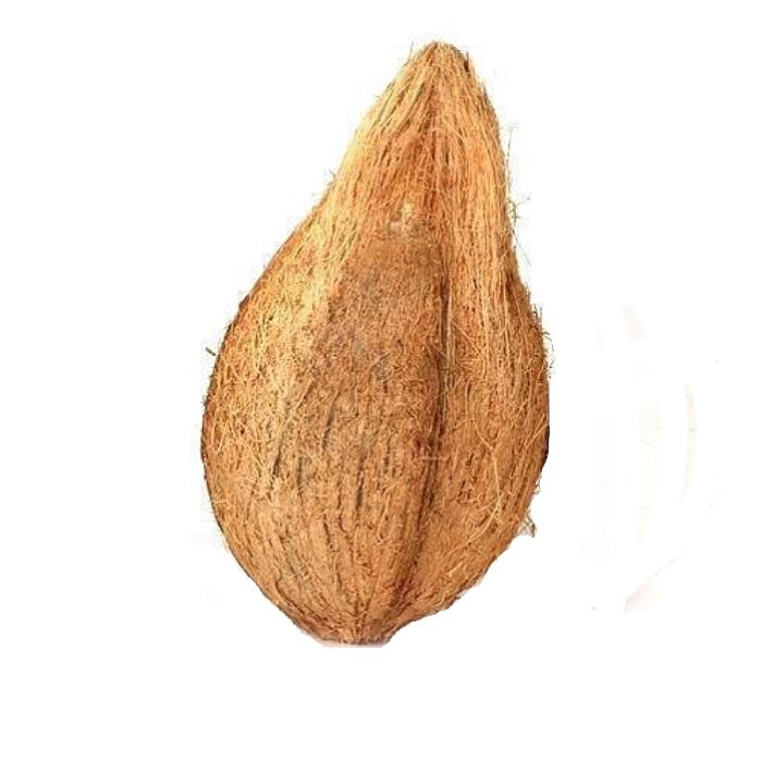 Nariyal  (Coconut) - 1 pcs