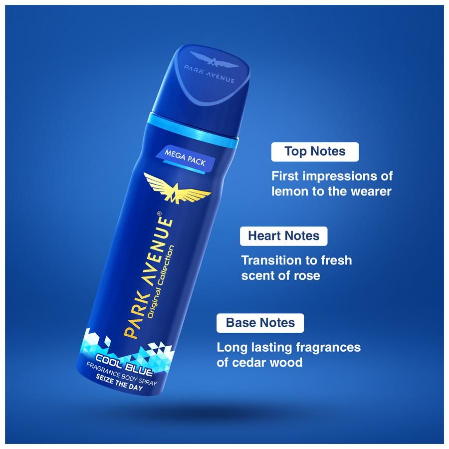 Park Avenue Cool Blue Men's Deodorant - 220 ml