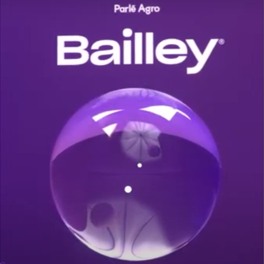 Bailley Packaged Drinking Water - 1 lit