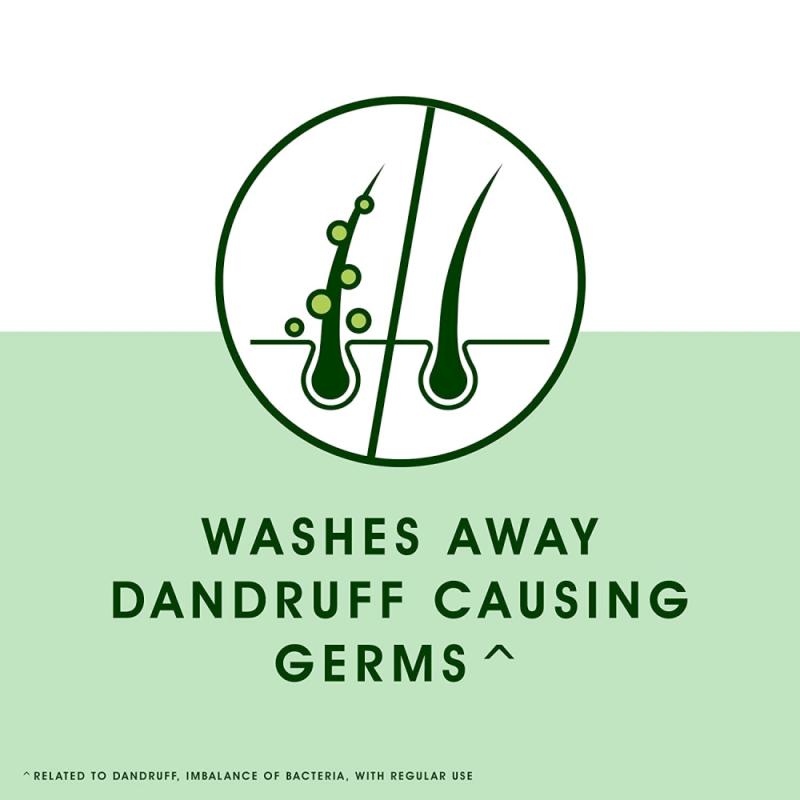 Head & Shoulders Neem Anti-Dandruff Shampoo - 340 ml